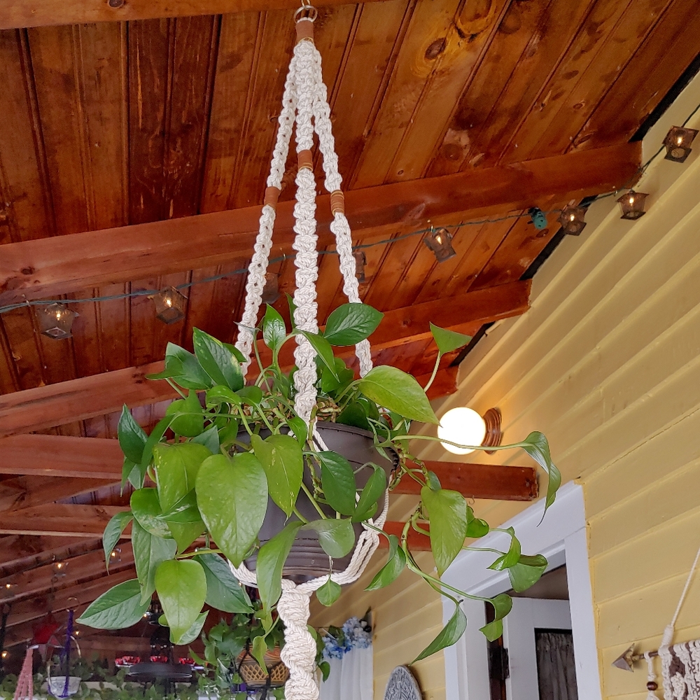 Natural Cotton & Suede Boho Plant Hanger - Picture 5 of 8